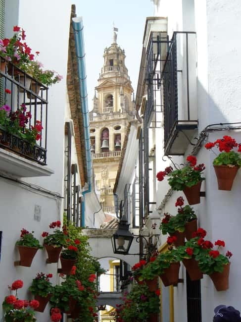 From Madrid: Cordoba and Mosque Day Trip by High-Speed Train - Key points to know before booking