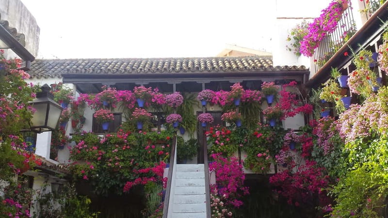 From Madrid: Cordoba and Mosque Day Trip by High-Speed Train - Two hours for lunch and independent exploring