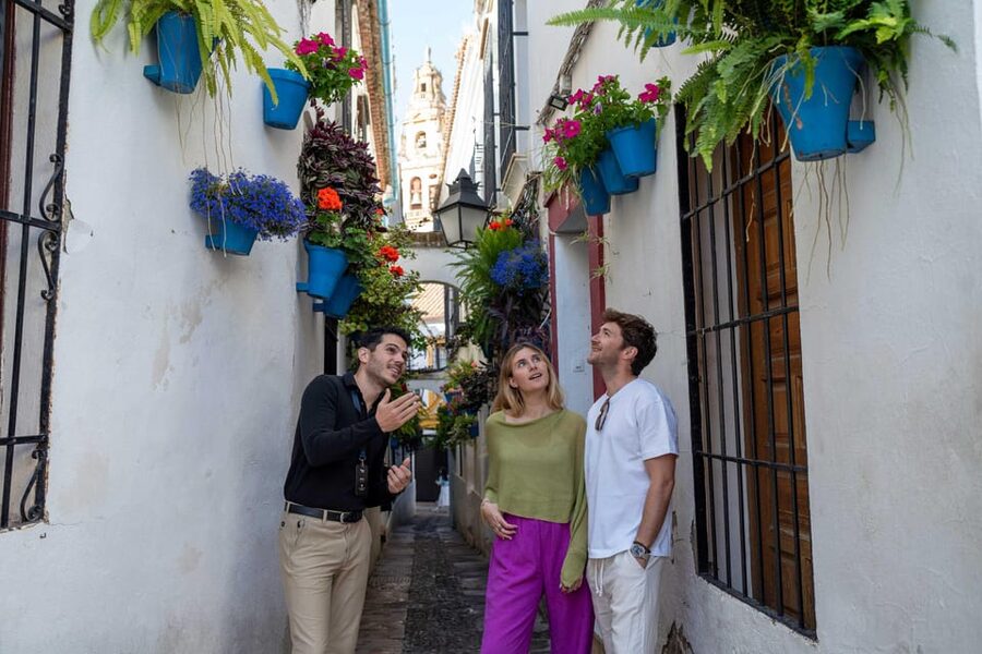From Madrid: Córdoba Private Day Tour by High-Speed Train - Why Córdoba works as a day trip from Madrid