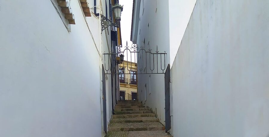 From Malaga: Ronda and Setenil Tour with Scenic Train - Two ways to use your Ronda time