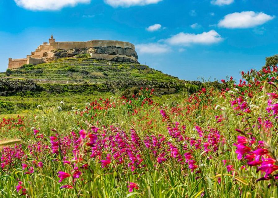 From Malta: Gozo Full-Day Tour with Guide, Temples, & Train - Ggantija Temples: the day’s essential stop