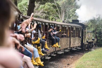 Puffing Billy Steam Train & Wildlife Tour