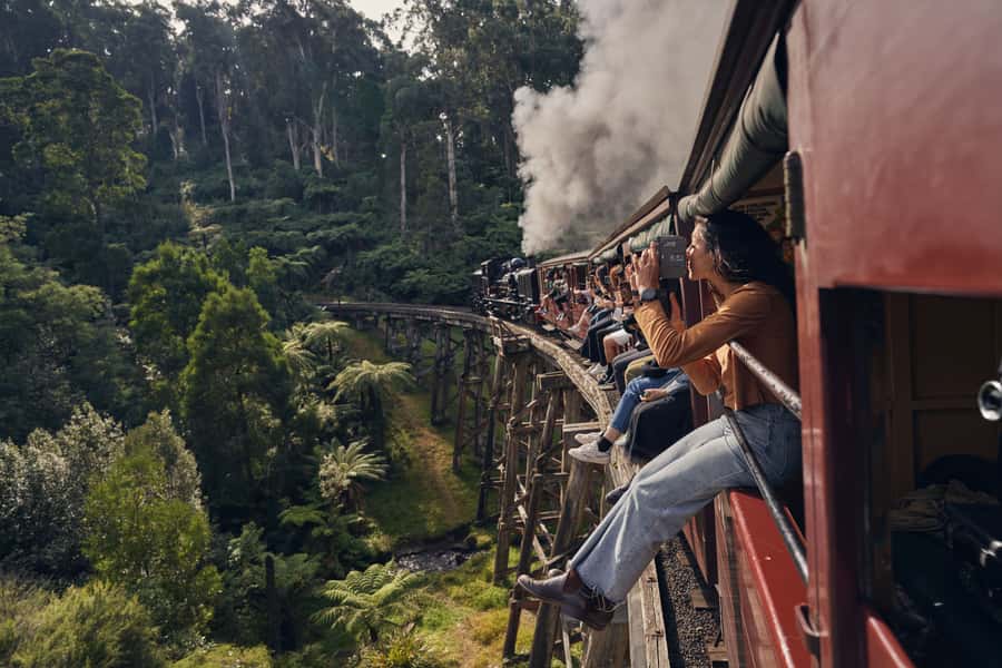 From Melbourne: Puffing Billy Steam Train & Wildlife Tour - Is $140 good value?