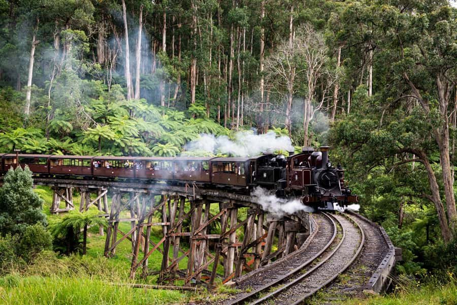 From Melbourne: Puffing Billy Train & Penguin Wildlife Tour - Meeting the bus in central Melbourne