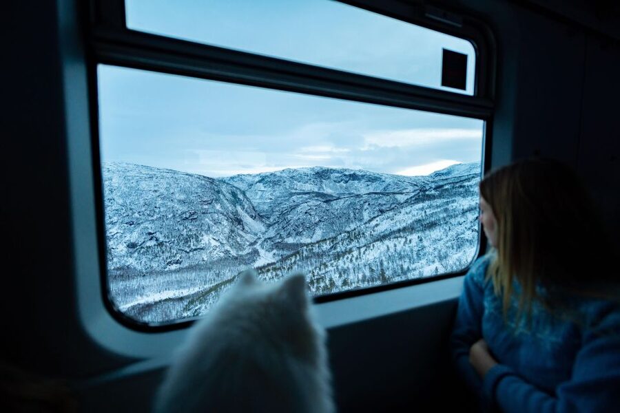 From Narvik: Roundtrip Arctic Train Ride on Ofoten Railway - Key points to know before boarding