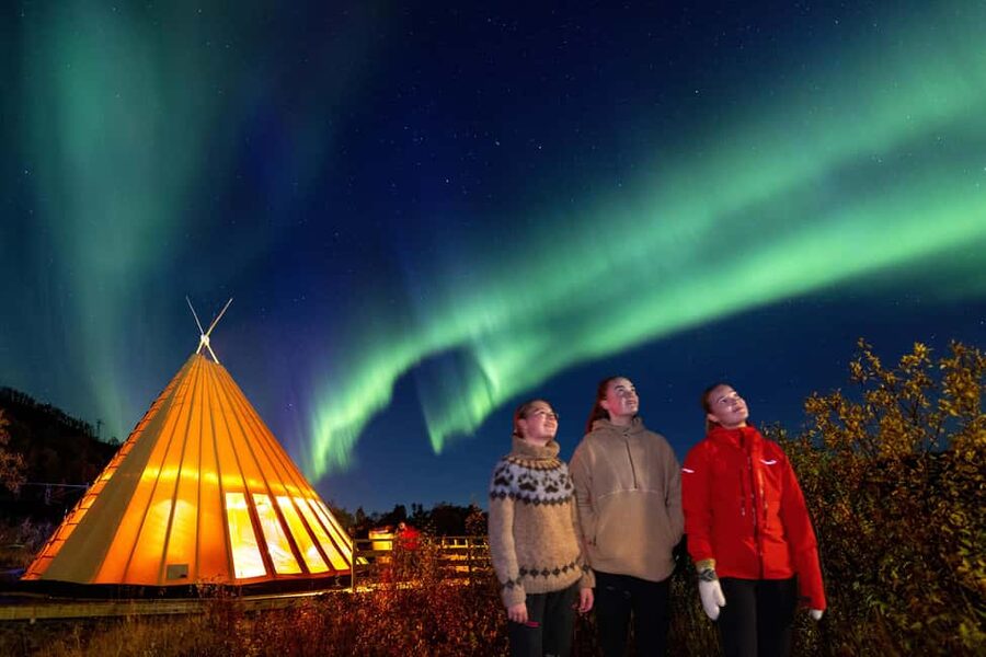 From Narvik: The Northern Lights Arctic Train Guided Tour - Campfire, lavvu, snacks, and the waiting game