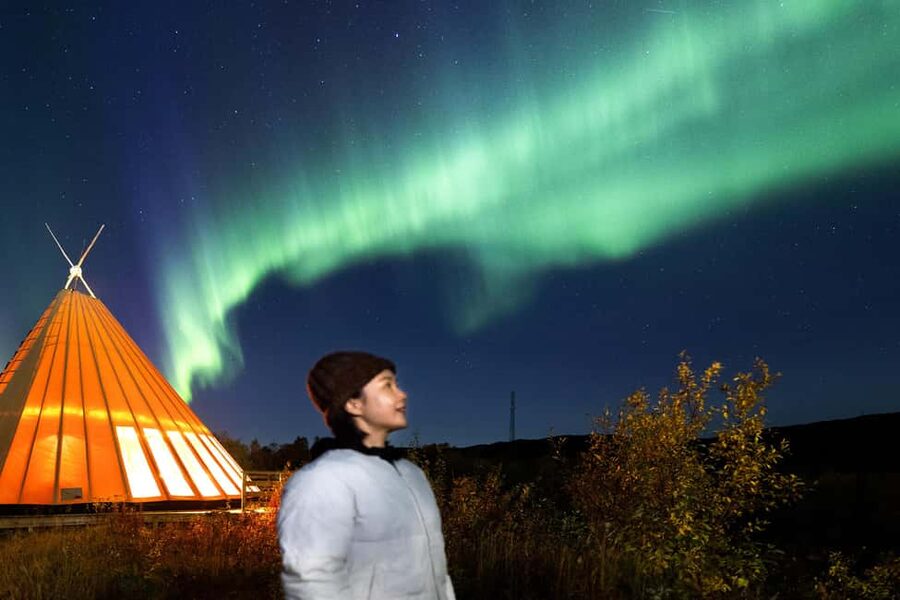 From Narvik: The Northern Lights Arctic Train Guided Tour - The return journey to Narvik
