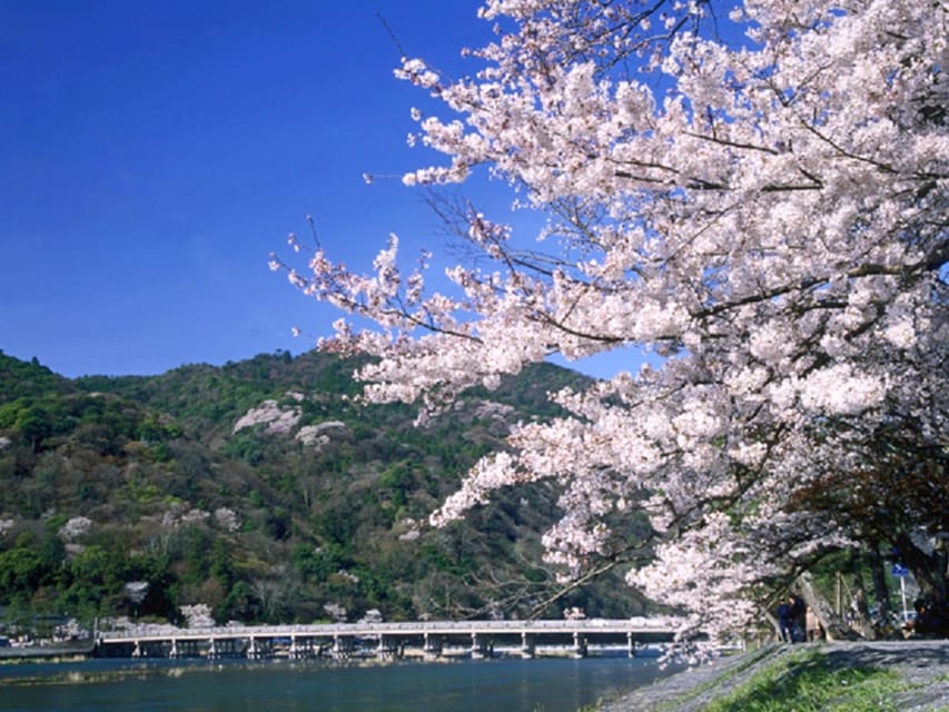 From Osaka: Sagano Train Ride and Kyoto Guided Day Tour - Key things to know before booking