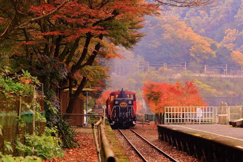 From Osaka: Sagano Train Ride and Kyoto Guided Day Tour - The Sagano Romantic Train beside the Hozugawa River