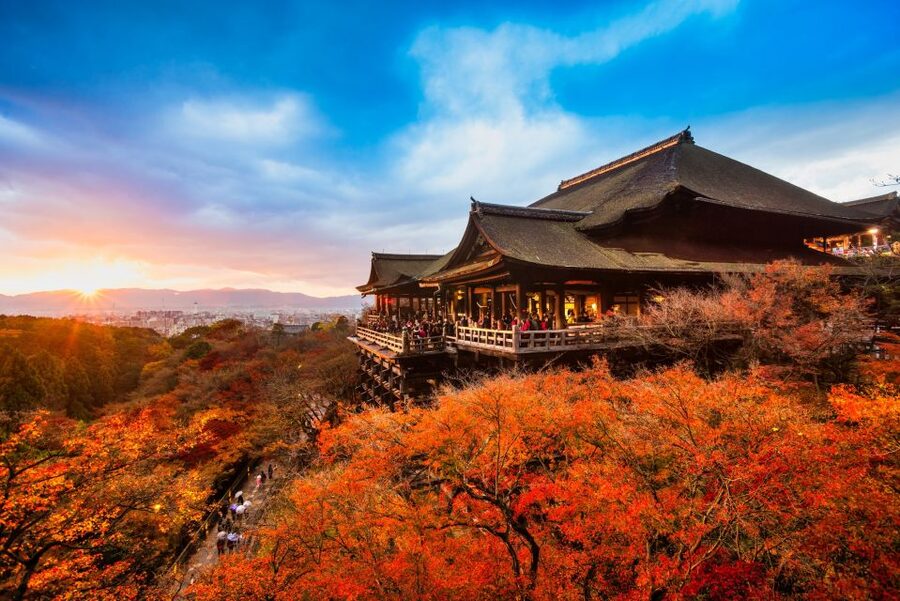 From Osaka: Sagano Train Ride and Kyoto Guided Day Tour - Guides, buses, and group rhythm