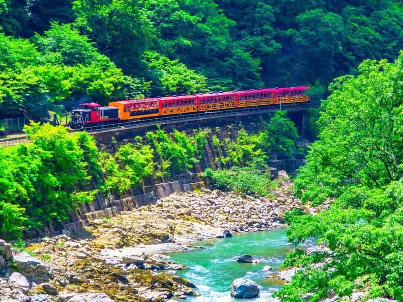 From Osaka: Sagano Train Ride and Kyoto Guided Day Tour - Who should take this tour?