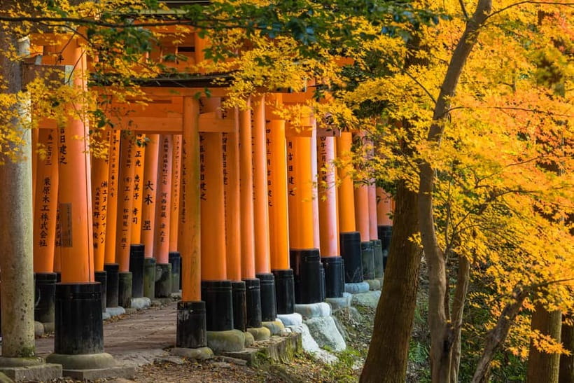From Osaka: Sagano Train Ride and Kyoto Guided Day Tour - Arashiyama and the cool bamboo path