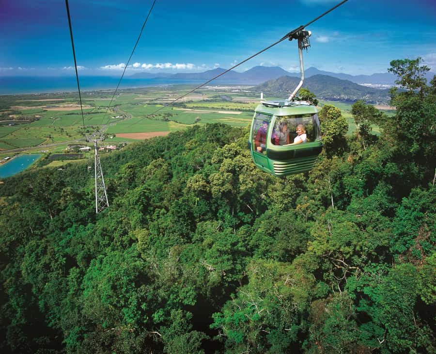 From Port Douglas: Hartley's Crocodile Park, Skyrail & Train - Why This Long Day Works
