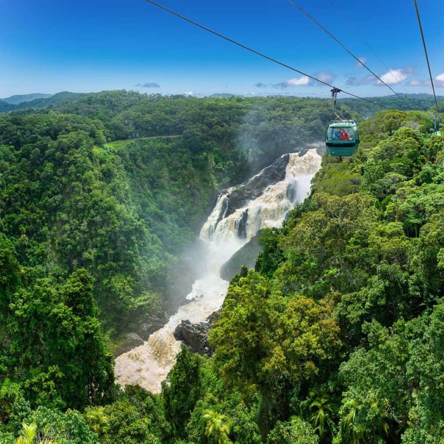 From Port Douglas: Hartley's Crocodile Park, Skyrail & Train - Two Hours in Kuranda