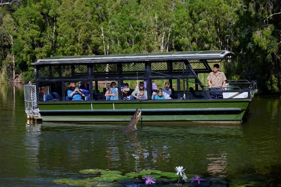 From Port Douglas: Hartley's Crocodile Park, Skyrail & Train - Value, Timing, and What Is Included