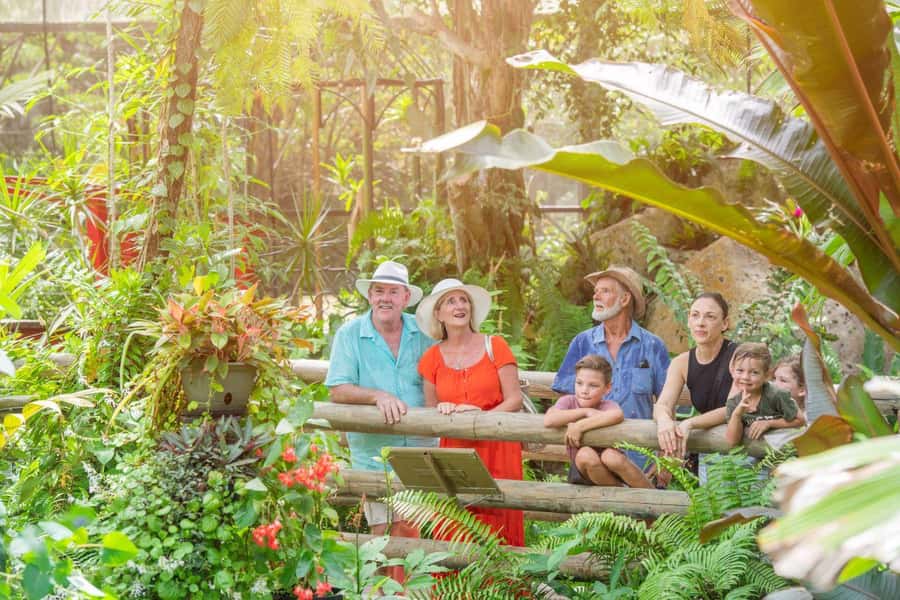 From Port Douglas: Hartley's Crocodile Park, Skyrail & Train - Who Will Enjoy This Best?