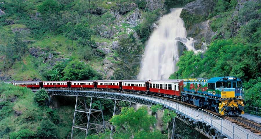 From Port Douglas: Hartley's Crocodile Park, Skyrail & Train - Practical Tips for a Smoother Day