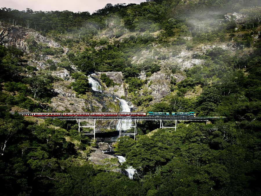 From Port Douglas: Kuranda Tour with Skyrail & Scenic Train - Skyrail gives you the rainforest from above