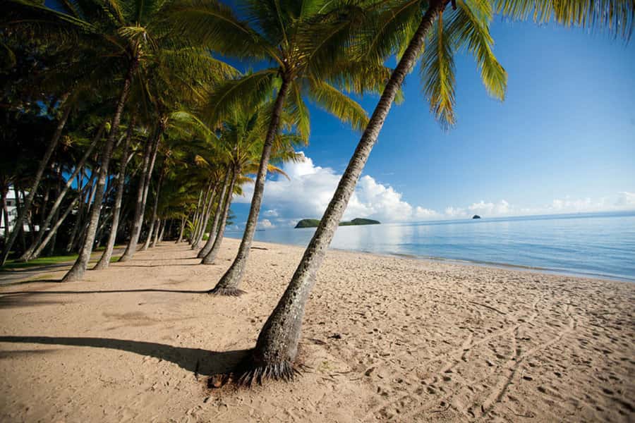 From Port Douglas: Kuranda Tour with Skyrail & Scenic Train - Palm Cove is a pleasant final stop