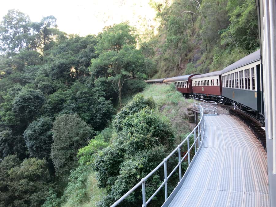 From Port Douglas: Kuranda via Scenic Rail or Skyrail Option - Skyrail above the rainforest