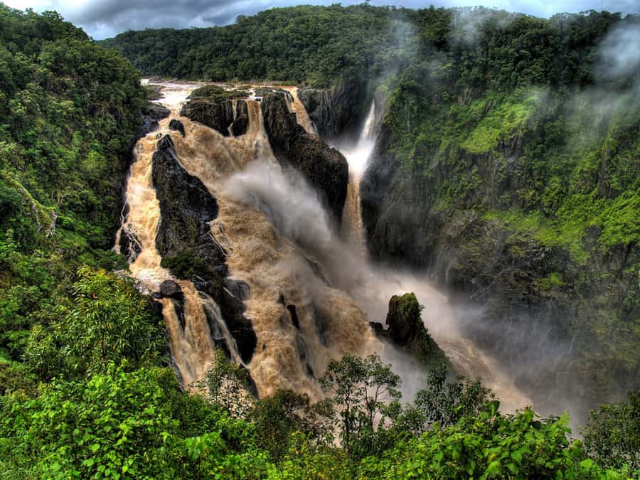 From Port Douglas: Kuranda via Scenic Rail or Skyrail Option - A drink and beach walk at Palm Cove