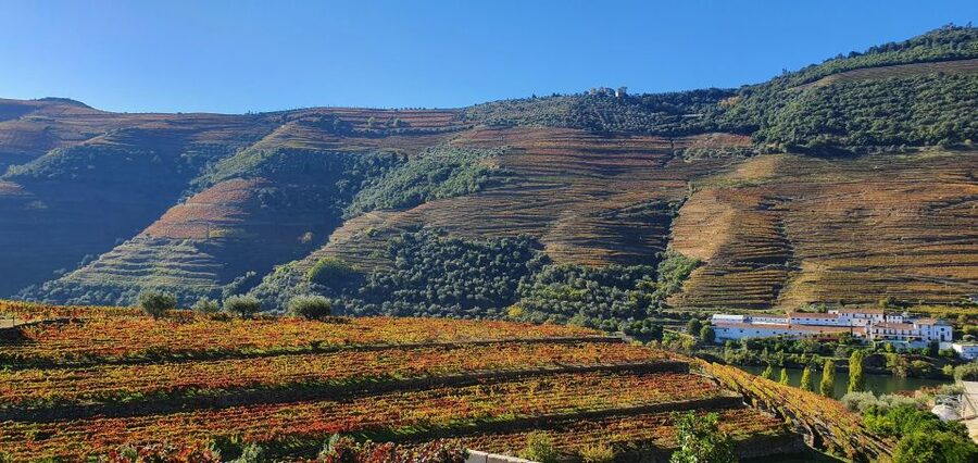 From Porto Douro Valley Tour with Train and Vinho Verde - Who should book this Douro day trip?