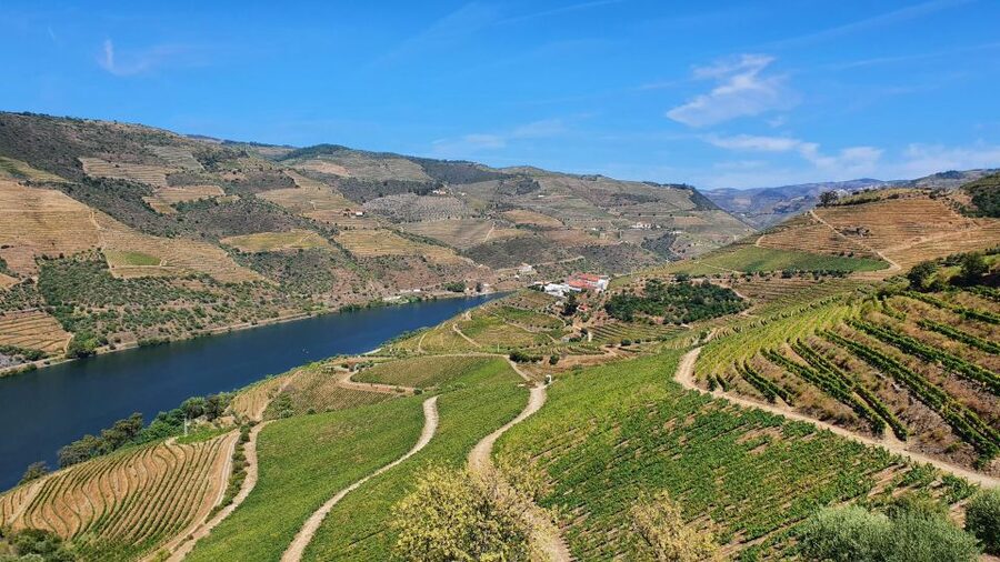 From Porto Douro Valley Tour with Train and Vinho Verde - Is $149 good value?