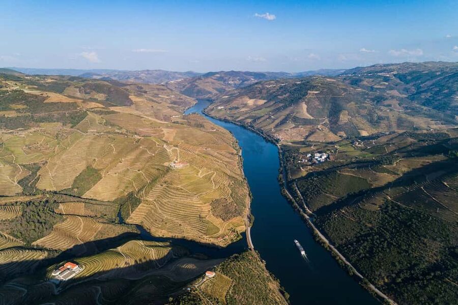 From Porto: Wine Tasting with Lunch at a Quinta, Cruise, and Train Ride - The best parts of this Douro Valley day
