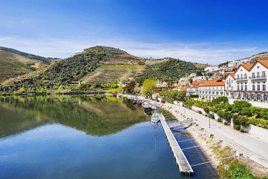 From Porto: Wine Tasting with Lunch at a Quinta, Cruise, and Train Ride - Guide style and the level of commentary