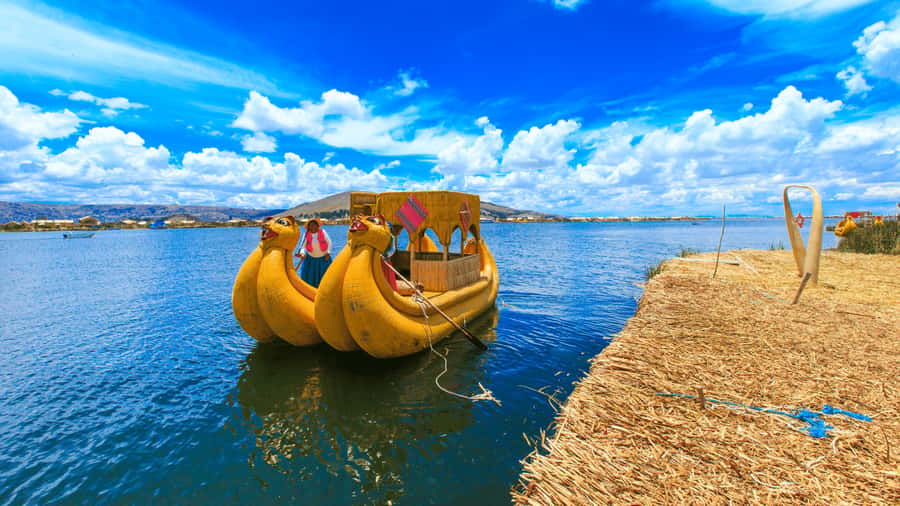 From Puno: Travel to Cusco in Titicaca Train All Inclusive - Music, dancing, Pisco Sour, and afternoon tea