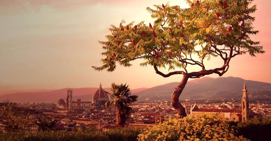 From Rome: Day Trip to Florence by High-Speed Train - Why this Rome to Florence trip works