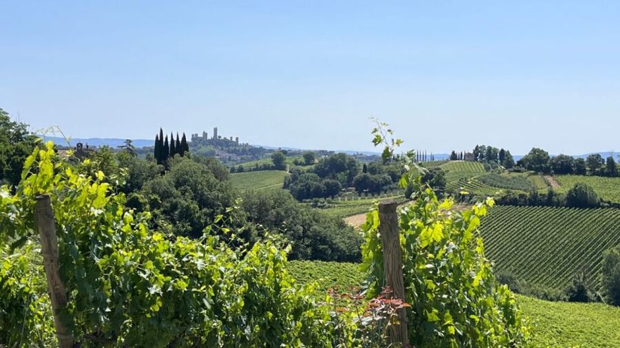 From Rome: Florence & Tuscany Day Tour by High-Speed Train - Who will enjoy this day most?