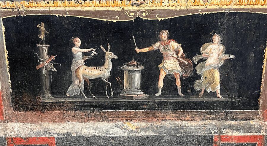 From Rome: Pompeii and Herculaneum Tour w/ High-speed Train - Herculaneum: smaller, more intimate, and better preserved in places