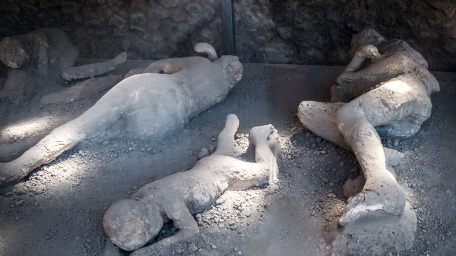From Rome: Pompeii and Naples Day Trip by High-Speed Train - Who will enjoy this day trip most