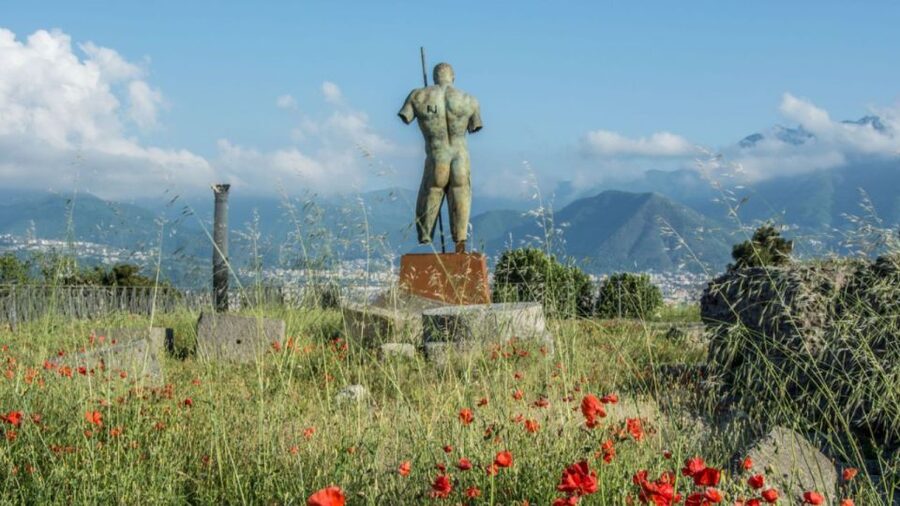 From Rome: Pompeii and Naples Day Trip by High-Speed Train - How the transport affects the day