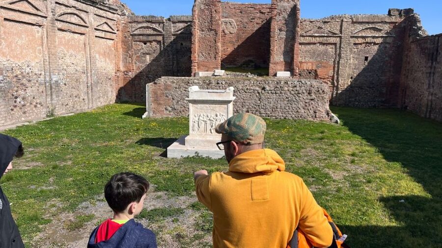From Rome: Pompeii and Naples Day Trip by High-Speed Train - Price and value at $259