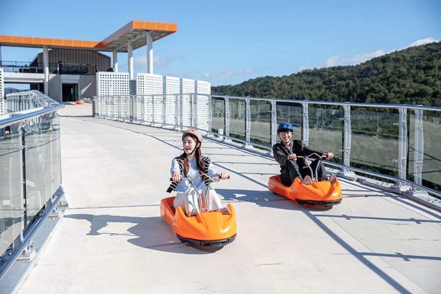 From Seoul: Full Day Trip to Alpaca Farm with Rail Bike - Timing, comfort, and small practical points