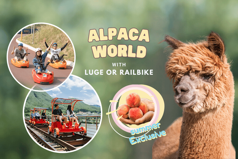 From Seoul: Full Day Trip to Alpaca Farm with Rail Bike - Leaving Seoul for Gangwon Province