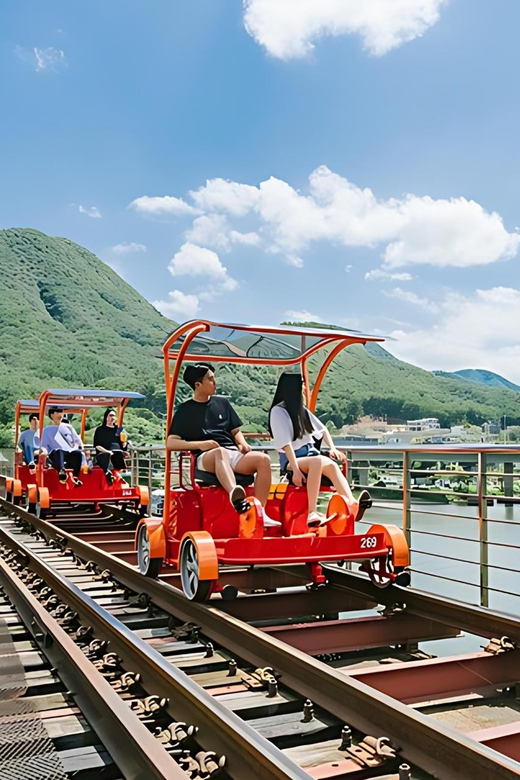 From Seoul: Full Day Trip to Alpaca Farm with Rail Bike - What the guides add to the day