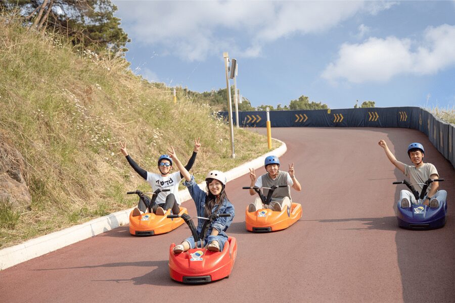 From Seoul: Full Day Trip to Alpaca Farm with Rail Bike - Who should choose the rail bike, and who should choose the luge?