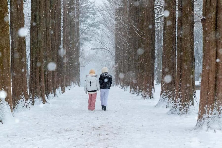 From Seoul: Nami Island, K-drama Garden & Rail Bike Day Tour - Key points to know before booking