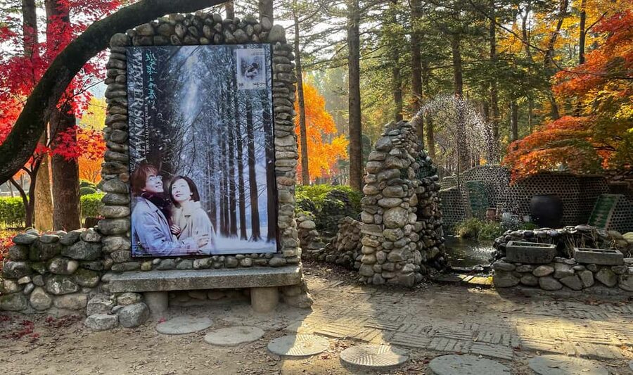 From Seoul: Nami Island, K-drama Garden & Rail Bike Day Tour - Seasonal timing changes the experience