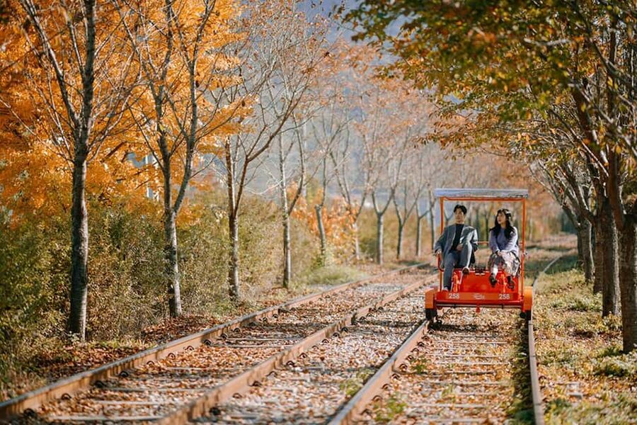 From Seoul: Nami Island, K-drama Garden & Rail Bike Day Tour - Why this countryside day trip works