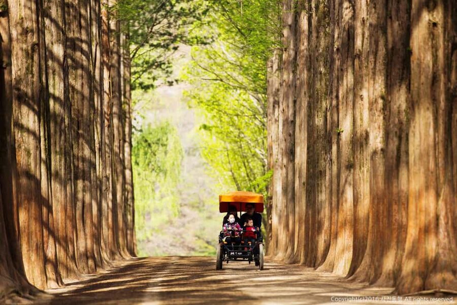 From Seoul: Nami Island, K-drama Garden & Rail Bike Day Tour - Nami Island: the romantic centerpiece