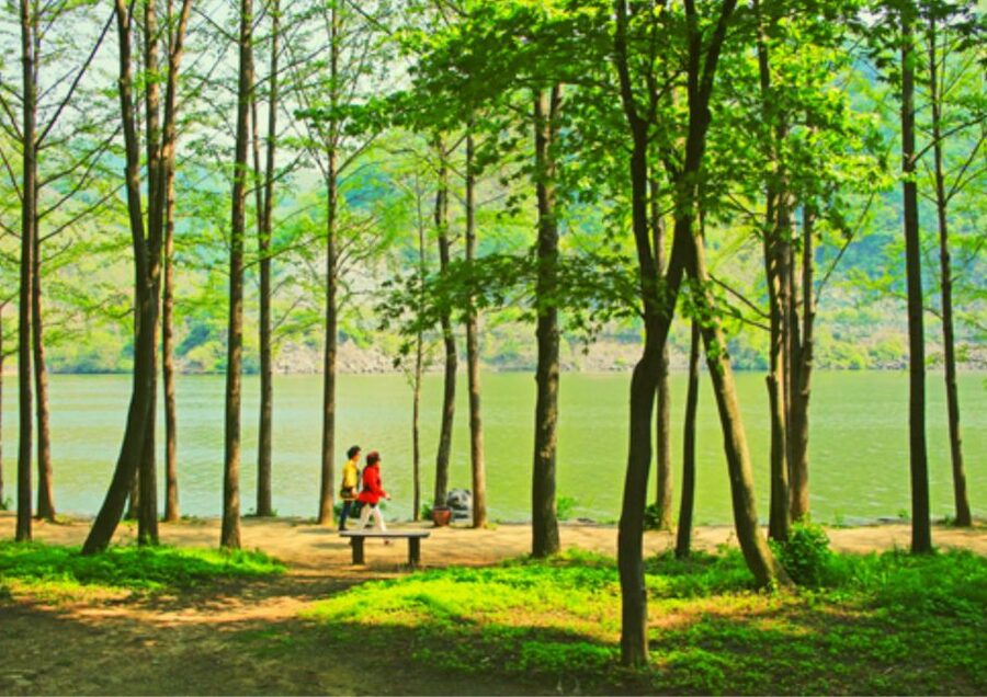 From Seoul: Nami Island, K-drama Garden & Rail Bike Day Tour - Gangchon Rail Bike: the day’s most playful stop