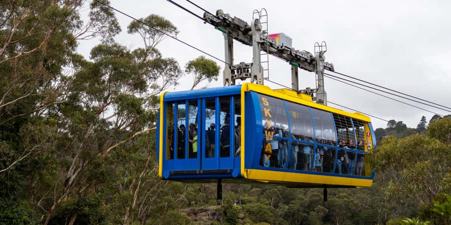 From Sydney: Blue Mountains, Scenic Railway, & Sydney Zoo - Sydney Zoo, kangaroos, and a First Nations talk