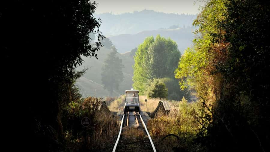 From Taumarunui: The Republic Rail Cart Adventure - Key details before you book