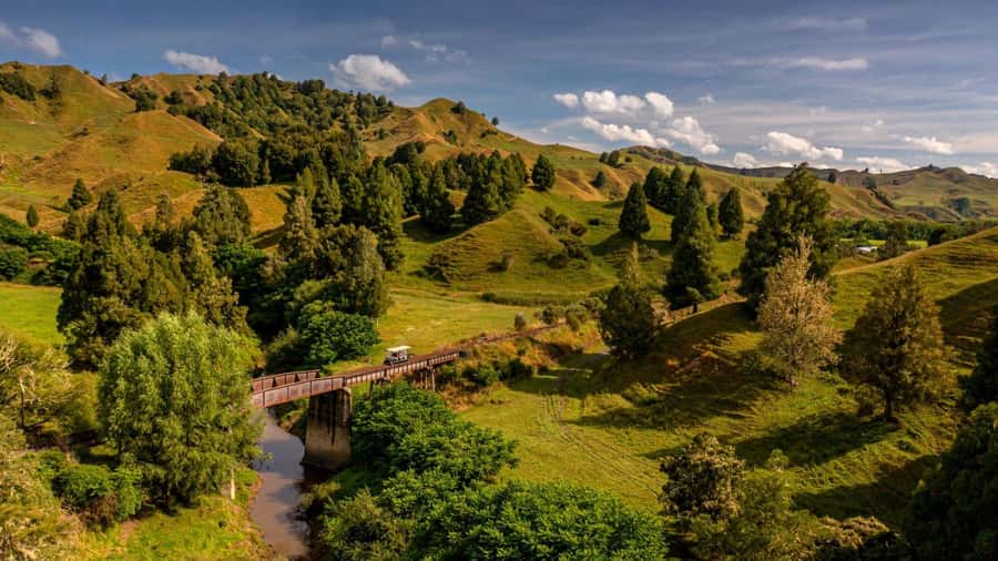 From Taumarunui: The Republic Rail Cart Adventure - Why the Forgotten World railway is worth your day