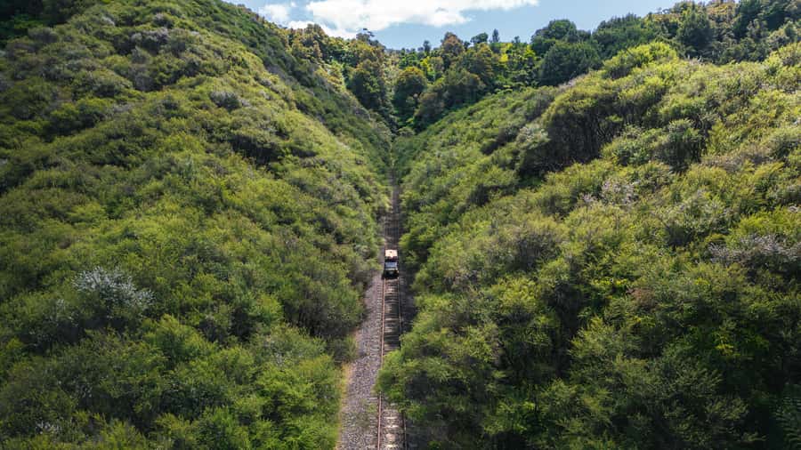 From Taumarunui: The Republic Rail Cart Adventure - Okahukura: starting on the old line