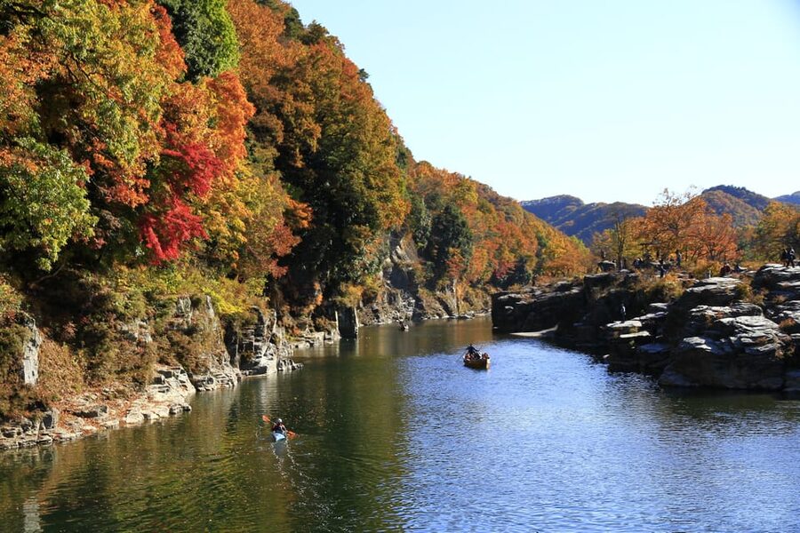 From Tokyo: Seibu Railway 1 Day Pass and Nagatoro - Key points before you go